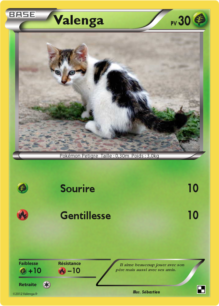 Pokemon Fabrique Ta Propre Carte Sur Valenga Fr